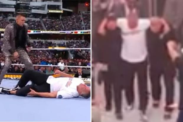 肖恩·麦克马洪 (Shane McMahon) 在摔角狂热 (WrestleMania) 回归时遭遇惊吓受伤，史努比·道格 (Snoop Dogg) 试图挽救令人难以置信的失败