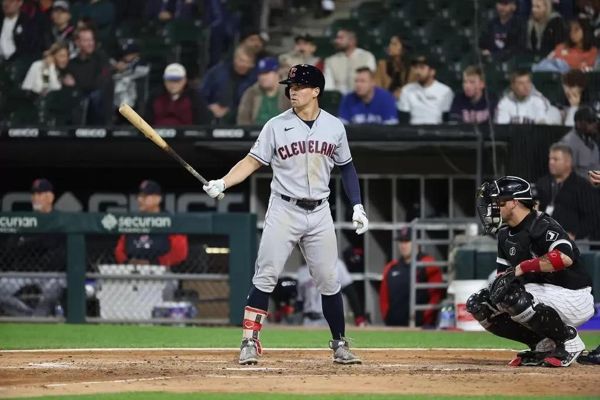 MLB》又有鸟鸟葬身棒球场　守护者菜鸟向爱鸟人士道歉