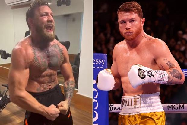 在拳击巨星挖苦 UFC 偶像后，愤怒的康纳尔麦格雷戈称卡内洛阿尔瓦雷斯为“小姜香肠”