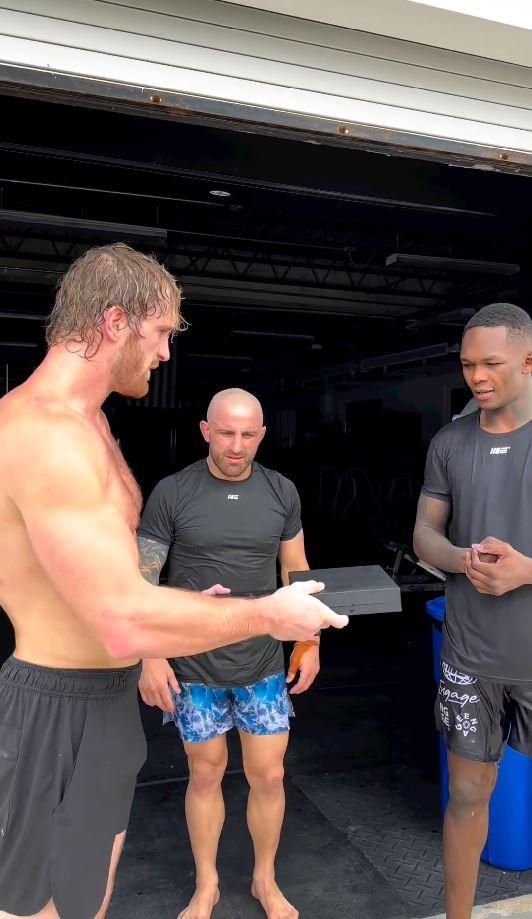 粉丝们发现 UFC 组合对洛根·保罗赠送他们 Prime 连锁店的反应平淡无奇，因为他们说“兄弟认为他们很关心”