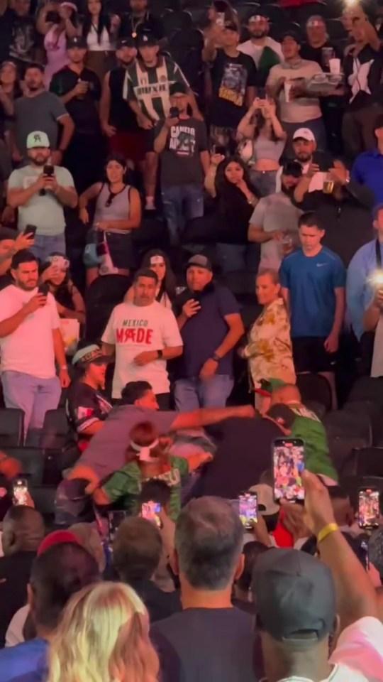 狂野的斗殴在Canelo vs Crawford爆发