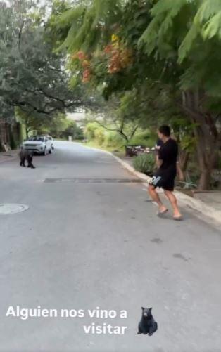 30岁的世界杯冠军戏剧性的时刻，将女儿带到街上，逃离熊